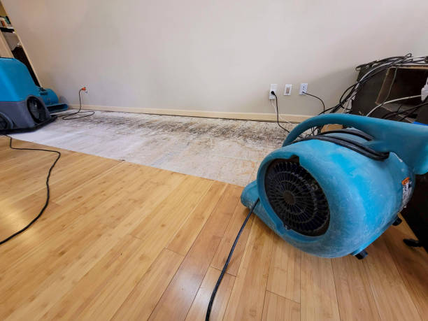 Reliable Crawl Space Water Removal contractor in Jersey City, NJ by Hirex Water Damage