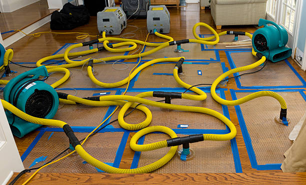 Professional Crawl Space Water Removal technician working in Jersey City, NJ